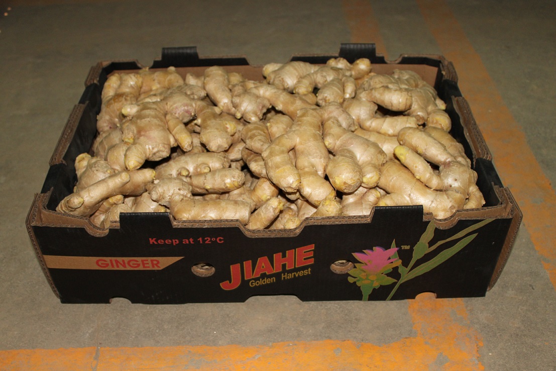 Fresh ginger - 13.6kg open top cardboard box 