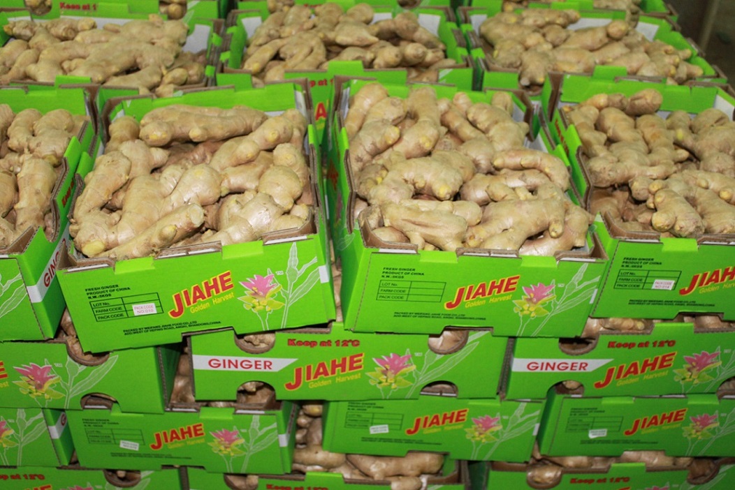 Fresh ginger - 5kg open top cardboard box