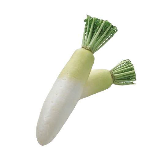 White radish